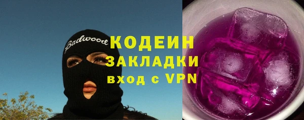 ПСИЛОЦИБИНОВЫЕ ГРИБЫ Богданович
