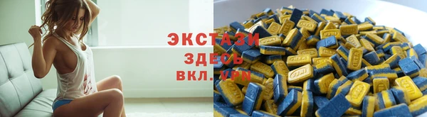 индика Туринск