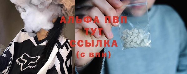 ПСИЛОЦИБИНОВЫЕ ГРИБЫ Богданович