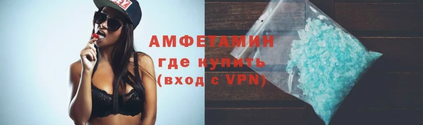 ПСИЛОЦИБИНОВЫЕ ГРИБЫ Богданович