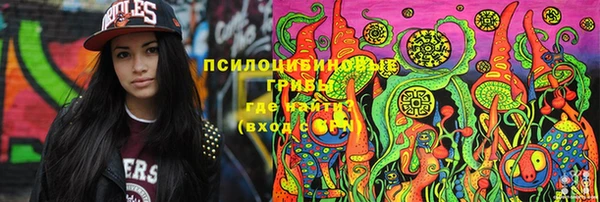 ПСИЛОЦИБИНОВЫЕ ГРИБЫ Богданович