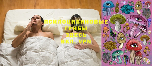 ПСИЛОЦИБИНОВЫЕ ГРИБЫ Богданович