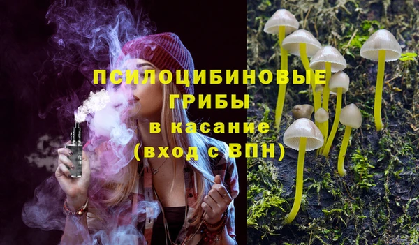 ПСИЛОЦИБИНОВЫЕ ГРИБЫ Богданович
