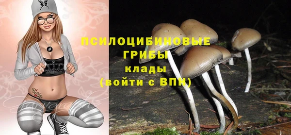 ешки Богородицк