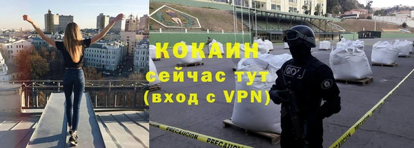 ПСИЛОЦИБИНОВЫЕ ГРИБЫ Богданович
