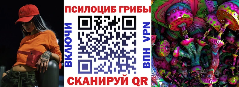 Псилоцибиновые грибы Psilocybe  дарнет шоп  Гремячинск 